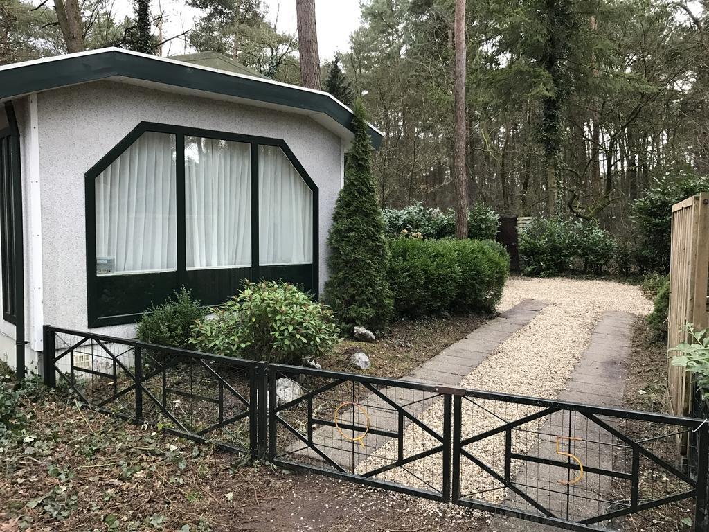 Chalet Dennenvelt Villa Doornspijk Buitenkant foto