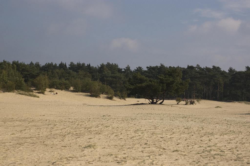 Chalet Dennenvelt Villa Doornspijk Buitenkant foto