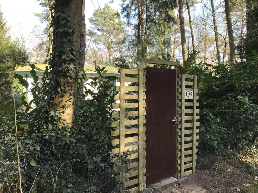Chalet Dennenvelt Villa Doornspijk Buitenkant foto